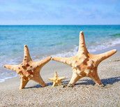 Profilfoto  Salumani