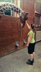 Profilfoto  Blaugelberatte