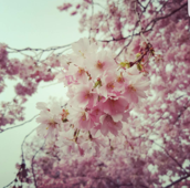 Profilfoto  Rebellin81