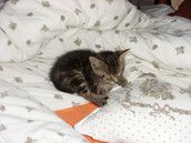 Profilfoto  shiggie24