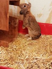 Profilfoto  SonNichen