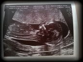 Profilfoto  BlackVelvet