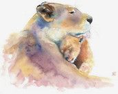 Profilfoto  Soosushii