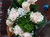 Profilfoto  Mareike63