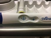 Profilfoto  Elisabeth88