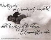 Profilfoto  schuchel