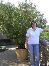 Profilfoto  sunny1374