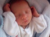 Profilfoto  Viebrock