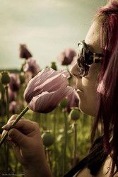 Profilfoto  stephi91