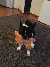 Profilfoto  Emmiexbella