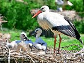 Profilfoto  Regenbogenbaby21