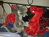 Profilfoto  Mamadrache79