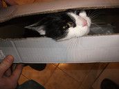 Profilfoto  Steffi2012