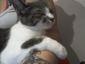 Profilfoto  Mizimami