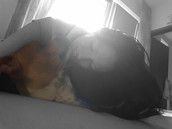 Profilfoto  Marina77