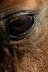 Profilfoto  Daniela1985