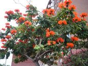 Profilfoto  Cindyrella94