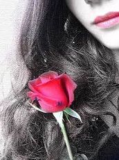 Profilfoto  avelina2