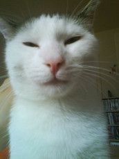 Profilfoto  takko2009