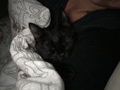 Profilfoto  Johanna29