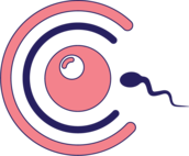 Profilfoto  eizellspende