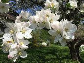 Profilfoto Elke Mayer