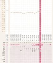 Profilfoto  michi2391