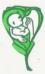 Profilfoto  Hebammenpraxis Liebe & Hoffnung