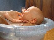 Profilfoto Christina Dannat