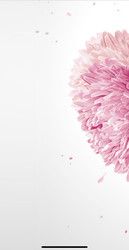 Profilfoto  MiMu2022