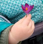 Profilfoto  Lavelles_Wunder