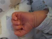 Profilfoto  Webmurmel