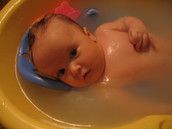 Profilfoto  Honigbiene08