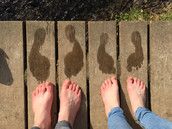 Profilfoto  Zahnlose_Minka