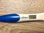 Profilfoto  Mellie862