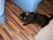 Profilfoto  mina2689