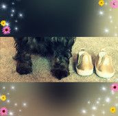 Profilfoto  Mami12112017