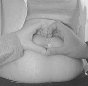 Profilfoto  Siri1631