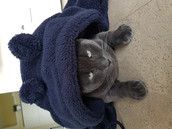 Profilfoto  Anastasia1987