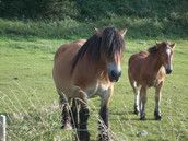 Profilfoto  Nucki2010