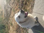 Profilfoto  Susaburka