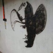 Profilfoto  Gomo1985