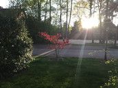 Profilfoto  30Anne30