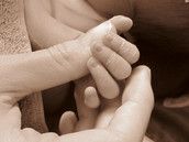 Profilfoto  MiriamAnna