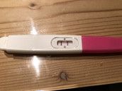 Profilfoto  Baghira90