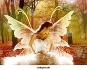 Profilfoto  Kleinmell