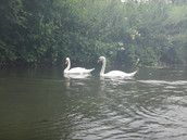 Profilfoto  Kardia80