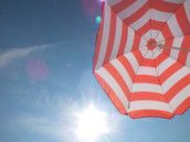 Profilfoto  Raupe1404