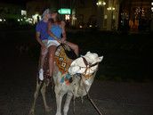 Profilfoto  starlit584