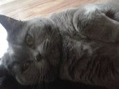 Profilfoto  Mogli2009